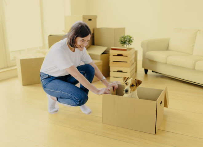 packing and moving